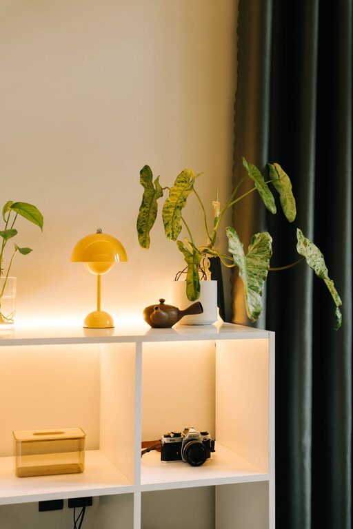 Tips for Creating a Cosy and Inviting Living Room on a Budget